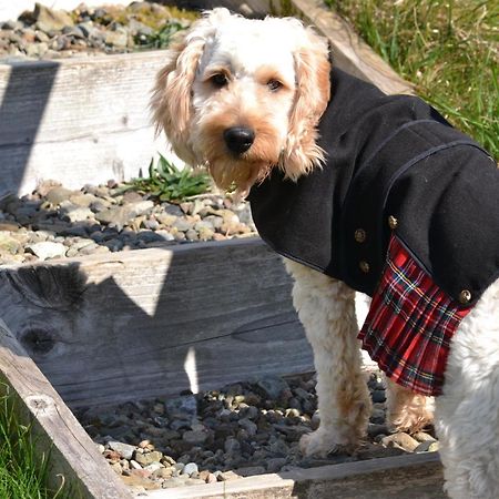 Burnbank Bnb Tobermory Eksteriør bilde
