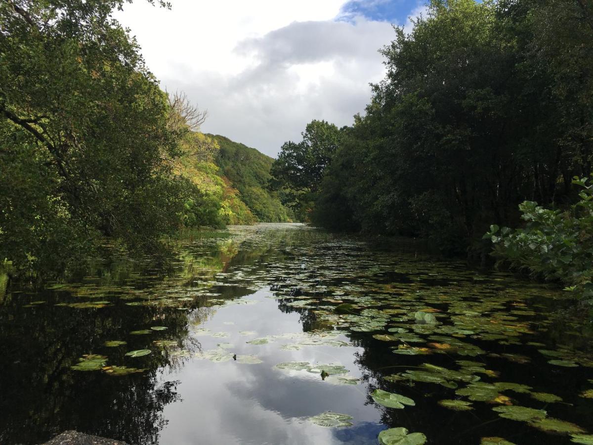 Burnbank Bnb Tobermory Eksteriør bilde