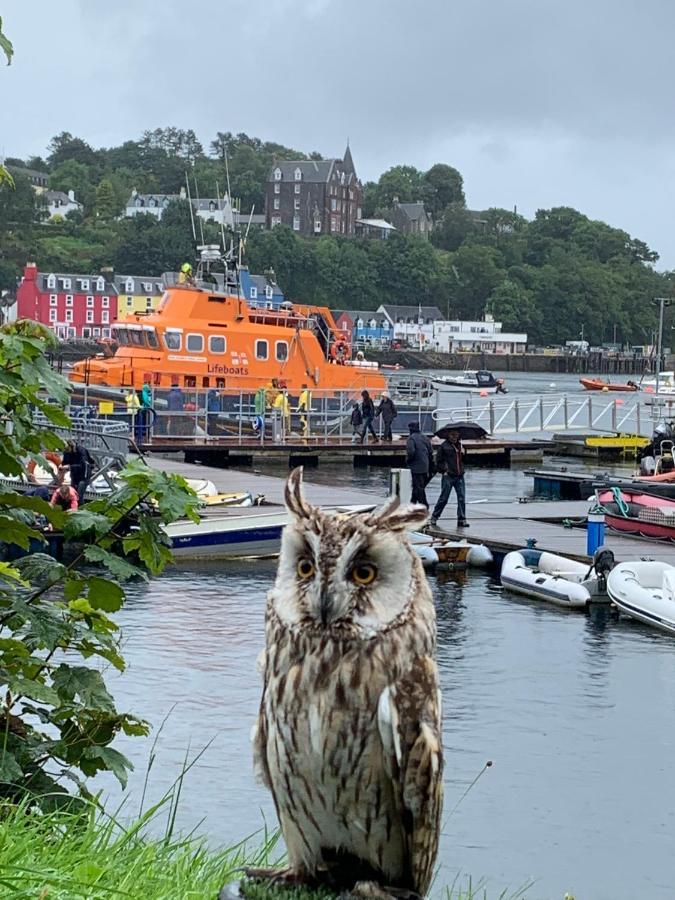 Burnbank Bnb Tobermory Eksteriør bilde